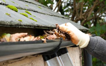 gutter cleaning Knockmanoul, Fermanagh
