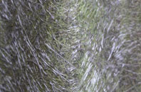 Knockmanoul fibreglass roof work